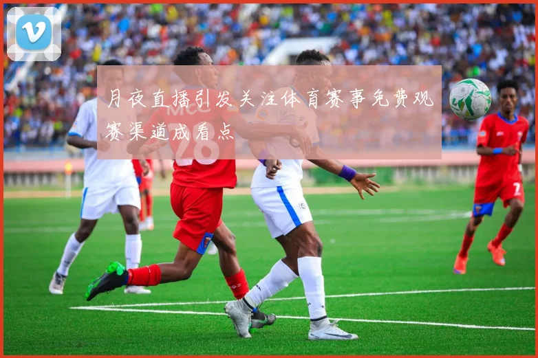 月夜直播引发关注体育赛事免费观赛渠道成看点