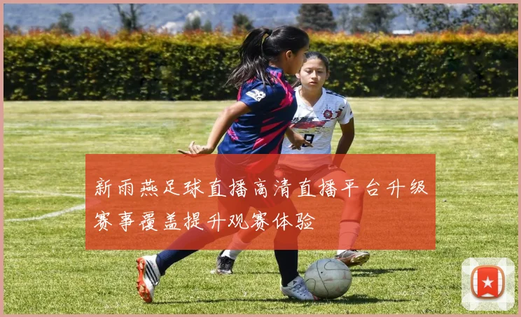 新雨燕足球直播高清直播平台升级赛事覆盖提升观赛体验