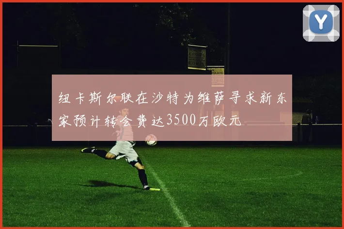 纽卡斯尔联在沙特为维萨寻求新东家预计转会费达3500万欧元