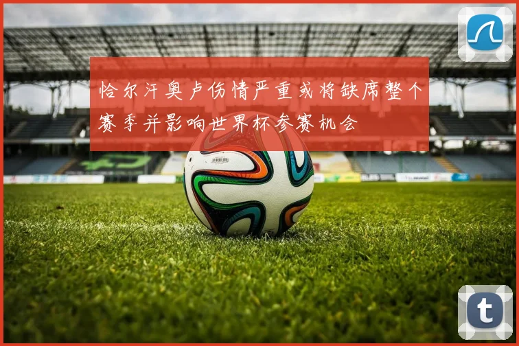 恰尔汗奥卢伤情严重或将缺席整个赛季并影响世界杯参赛机会